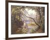 The Milieu Bridge in the Forest-Henri Biva-Framed Giclee Print