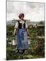 The Milkmaid-Julien Dupre-Mounted Giclee Print