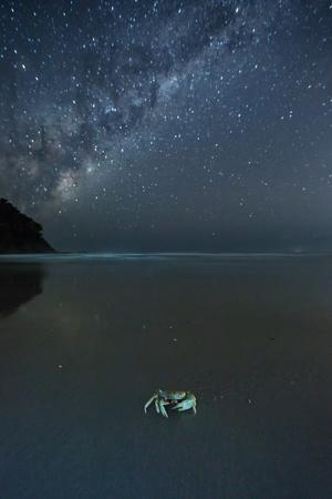 https://imgc.allpostersimages.com/img/posters/the-milky-way-above-a-crab-on-a-beach_u-L-Q135W0X0.jpg?artPerspective=n