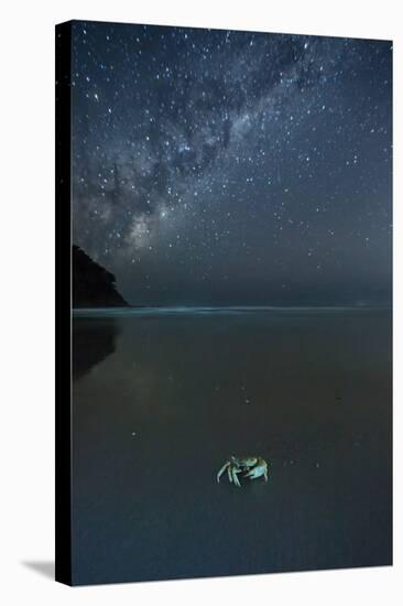 The Milky Way Above a Crab on a Beach-Alex Saberi-Stretched Canvas