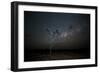 The Milky Way Above a Tree at Night Namib-Naukluft National Park-Alex Saberi-Framed Photographic Print