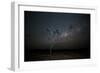 The Milky Way Above a Tree at Night Namib-Naukluft National Park-Alex Saberi-Framed Photographic Print