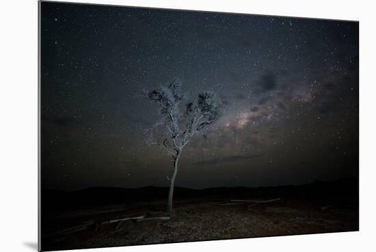 The Milky Way Above a Tree at Night Namib-Naukluft National Park-Alex Saberi-Mounted Photographic Print