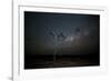 The Milky Way Above a Tree at Night Namib-Naukluft National Park-Alex Saberi-Framed Photographic Print