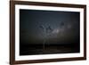 The Milky Way Above a Tree at Night Namib-Naukluft National Park-Alex Saberi-Framed Photographic Print