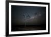 The Milky Way Above a Tree at Night Namib-Naukluft National Park-Alex Saberi-Framed Photographic Print