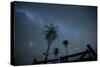 The Milky Way Above Palm Trees and a Wooden Farm Gate-Alex Saberi-Stretched Canvas