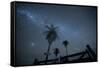 The Milky Way Above Palm Trees and a Wooden Farm Gate-Alex Saberi-Framed Stretched Canvas