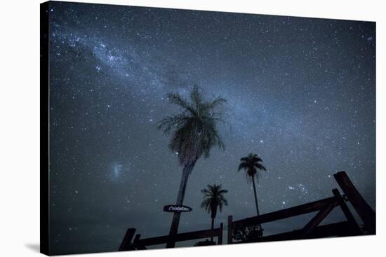 The Milky Way Above Palm Trees and a Wooden Farm Gate-Alex Saberi-Stretched Canvas