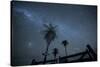 The Milky Way Above Palm Trees and a Wooden Farm Gate-Alex Saberi-Stretched Canvas