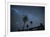 The Milky Way Above Palm Trees and a Wooden Farm Gate-Alex Saberi-Framed Photographic Print