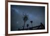 The Milky Way Above Palm Trees and a Wooden Farm Gate-Alex Saberi-Framed Photographic Print