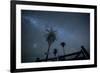 The Milky Way Above Palm Trees and a Wooden Farm Gate-Alex Saberi-Framed Photographic Print