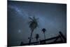 The Milky Way Above Palm Trees and a Wooden Farm Gate-Alex Saberi-Mounted Photographic Print