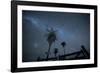 The Milky Way Above Palm Trees and a Wooden Farm Gate-Alex Saberi-Framed Photographic Print