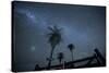 The Milky Way Above Palm Trees and a Wooden Farm Gate-Alex Saberi-Stretched Canvas