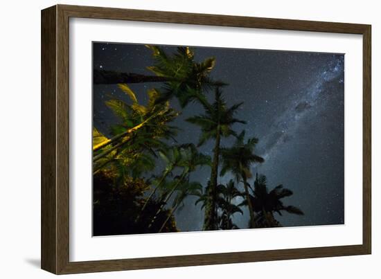 The Milky Way Above the Atlantic Rainforest Jungle and Palm Trees-Alex Saberi-Framed Photographic Print