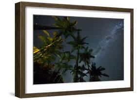 The Milky Way Above the Atlantic Rainforest Jungle and Palm Trees-Alex Saberi-Framed Photographic Print