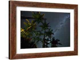 The Milky Way Above the Atlantic Rainforest Jungle and Palm Trees-Alex Saberi-Framed Photographic Print