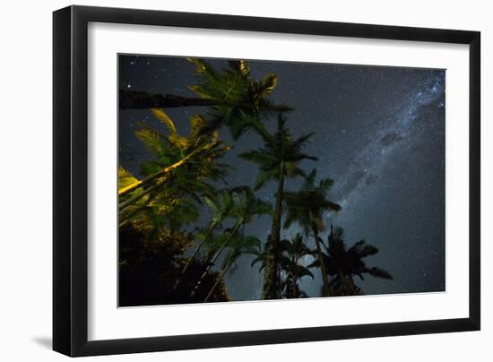 The Milky Way Above the Atlantic Rainforest Jungle and Palm Trees-Alex Saberi-Framed Photographic Print