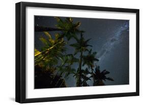 The Milky Way Above the Atlantic Rainforest Jungle and Palm Trees-Alex Saberi-Framed Photographic Print