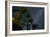 The Milky Way Above the Atlantic Rainforest Jungle and Palm Trees-Alex Saberi-Framed Photographic Print