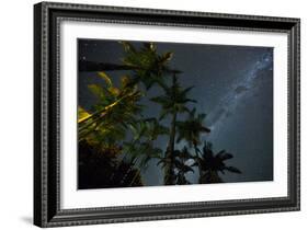 The Milky Way Above the Atlantic Rainforest Jungle and Palm Trees-Alex Saberi-Framed Photographic Print