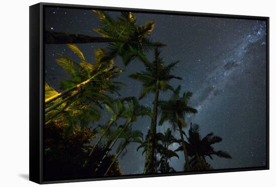 The Milky Way Above the Atlantic Rainforest Jungle and Palm Trees-Alex Saberi-Framed Stretched Canvas