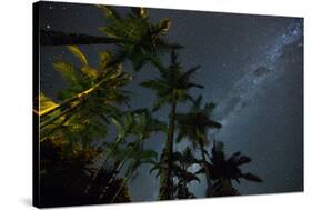 The Milky Way Above the Atlantic Rainforest Jungle and Palm Trees-Alex Saberi-Stretched Canvas