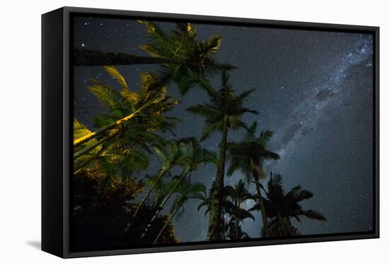 The Milky Way Above the Atlantic Rainforest Jungle and Palm Trees-Alex Saberi-Framed Stretched Canvas