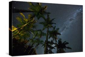 The Milky Way Above the Atlantic Rainforest Jungle and Palm Trees-Alex Saberi-Stretched Canvas