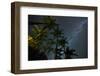 The Milky Way Above the Atlantic Rainforest Jungle and Palm Trees-Alex Saberi-Framed Premium Photographic Print