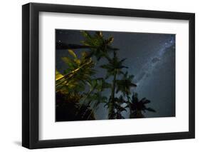 The Milky Way Above the Atlantic Rainforest Jungle and Palm Trees-Alex Saberi-Framed Premium Photographic Print