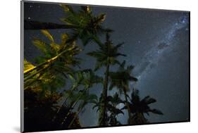 The Milky Way Above the Atlantic Rainforest Jungle and Palm Trees-Alex Saberi-Mounted Premium Photographic Print