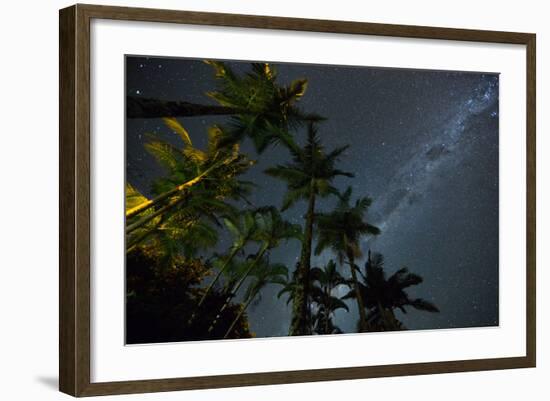 The Milky Way Above the Atlantic Rainforest Jungle and Palm Trees-Alex Saberi-Framed Photographic Print