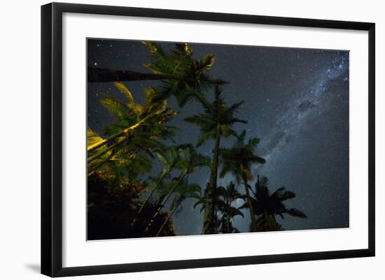 The Milky Way Above the Atlantic Rainforest Jungle and Palm Trees-Alex Saberi-Framed Photographic Print