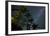 The Milky Way Above the Atlantic Rainforest Jungle and Palm Trees-Alex Saberi-Framed Photographic Print