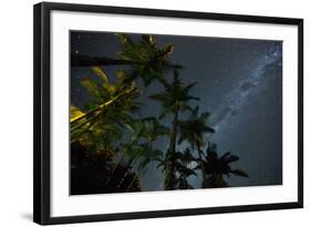 The Milky Way Above the Atlantic Rainforest Jungle and Palm Trees-Alex Saberi-Framed Photographic Print