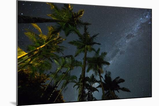 The Milky Way Above the Atlantic Rainforest Jungle and Palm Trees-Alex Saberi-Mounted Photographic Print