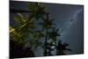 The Milky Way Above the Atlantic Rainforest Jungle and Palm Trees-Alex Saberi-Mounted Photographic Print