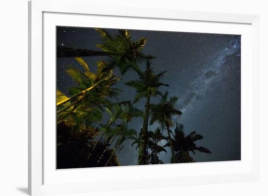 The Milky Way Above the Atlantic Rainforest Jungle and Palm Trees-Alex Saberi-Framed Photographic Print