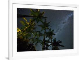 The Milky Way Above the Atlantic Rainforest Jungle and Palm Trees-Alex Saberi-Framed Photographic Print