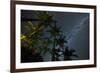 The Milky Way Above the Atlantic Rainforest Jungle and Palm Trees-Alex Saberi-Framed Photographic Print