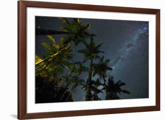 The Milky Way Above the Atlantic Rainforest Jungle and Palm Trees-Alex Saberi-Framed Photographic Print