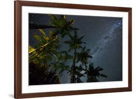 The Milky Way Above the Atlantic Rainforest Jungle and Palm Trees-Alex Saberi-Framed Photographic Print