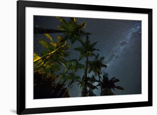 The Milky Way Above the Atlantic Rainforest Jungle and Palm Trees-Alex Saberi-Framed Photographic Print