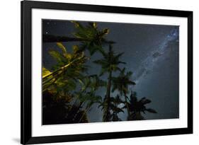 The Milky Way Above the Atlantic Rainforest Jungle and Palm Trees-Alex Saberi-Framed Photographic Print