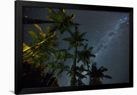 The Milky Way Above the Atlantic Rainforest Jungle and Palm Trees-Alex Saberi-Framed Photographic Print