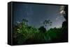 The Milky Way Above the Ubatuba Jungle at Night-Alex Saberi-Framed Stretched Canvas