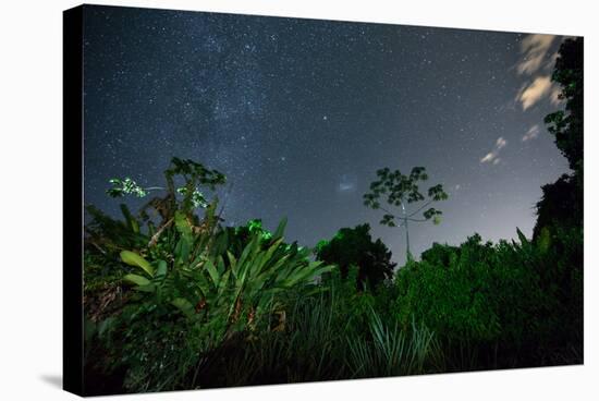 The Milky Way Above the Ubatuba Jungle at Night-Alex Saberi-Stretched Canvas
